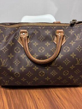 louis vuitton Speedy Shoulder Bag 30 Brown Canvas in dark brown